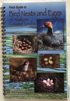 Birds Nests and Eggs