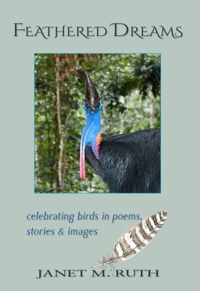 Feathered Dreams front cover final-lg