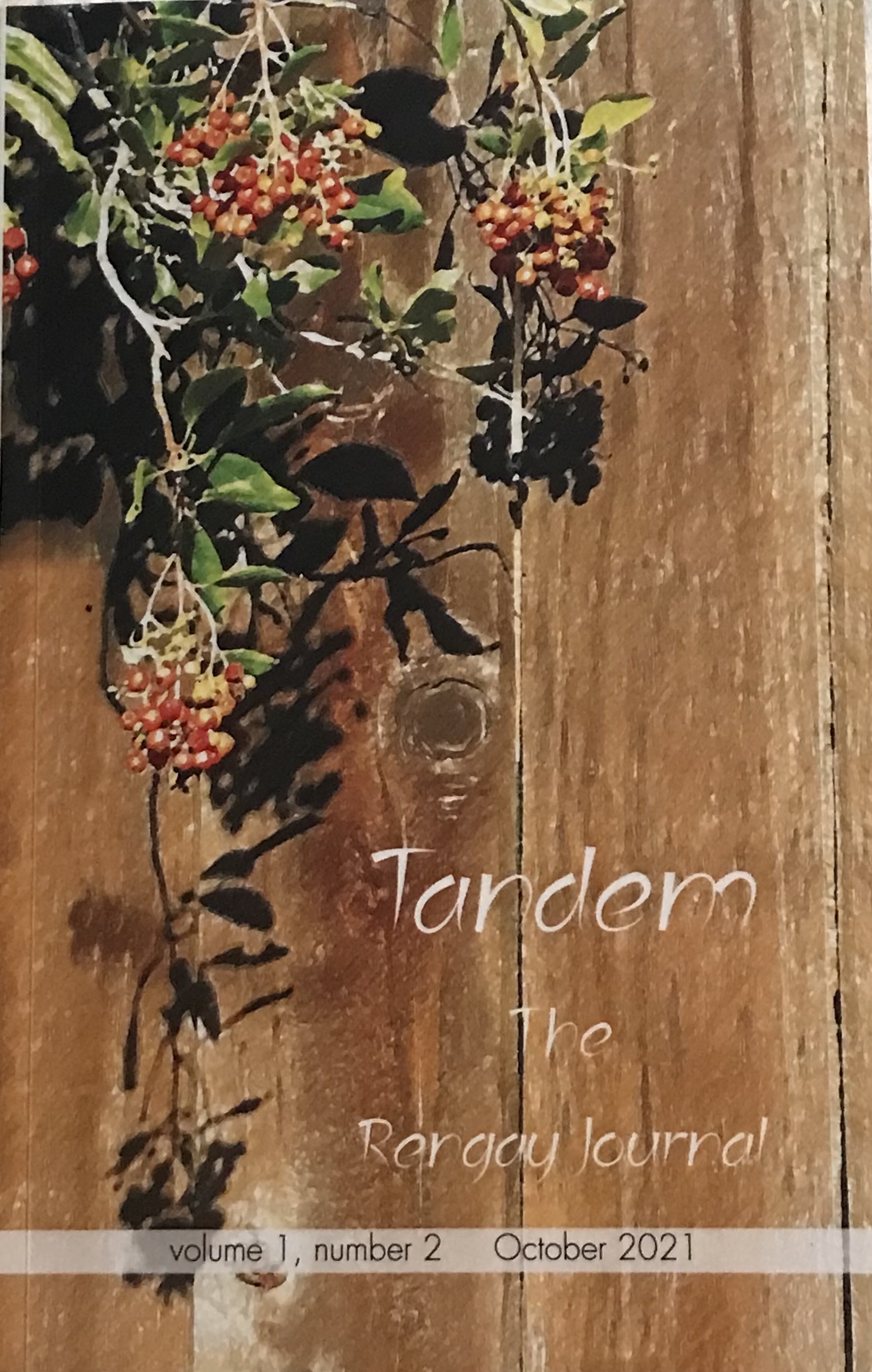 Tandem Cover IMG_0591