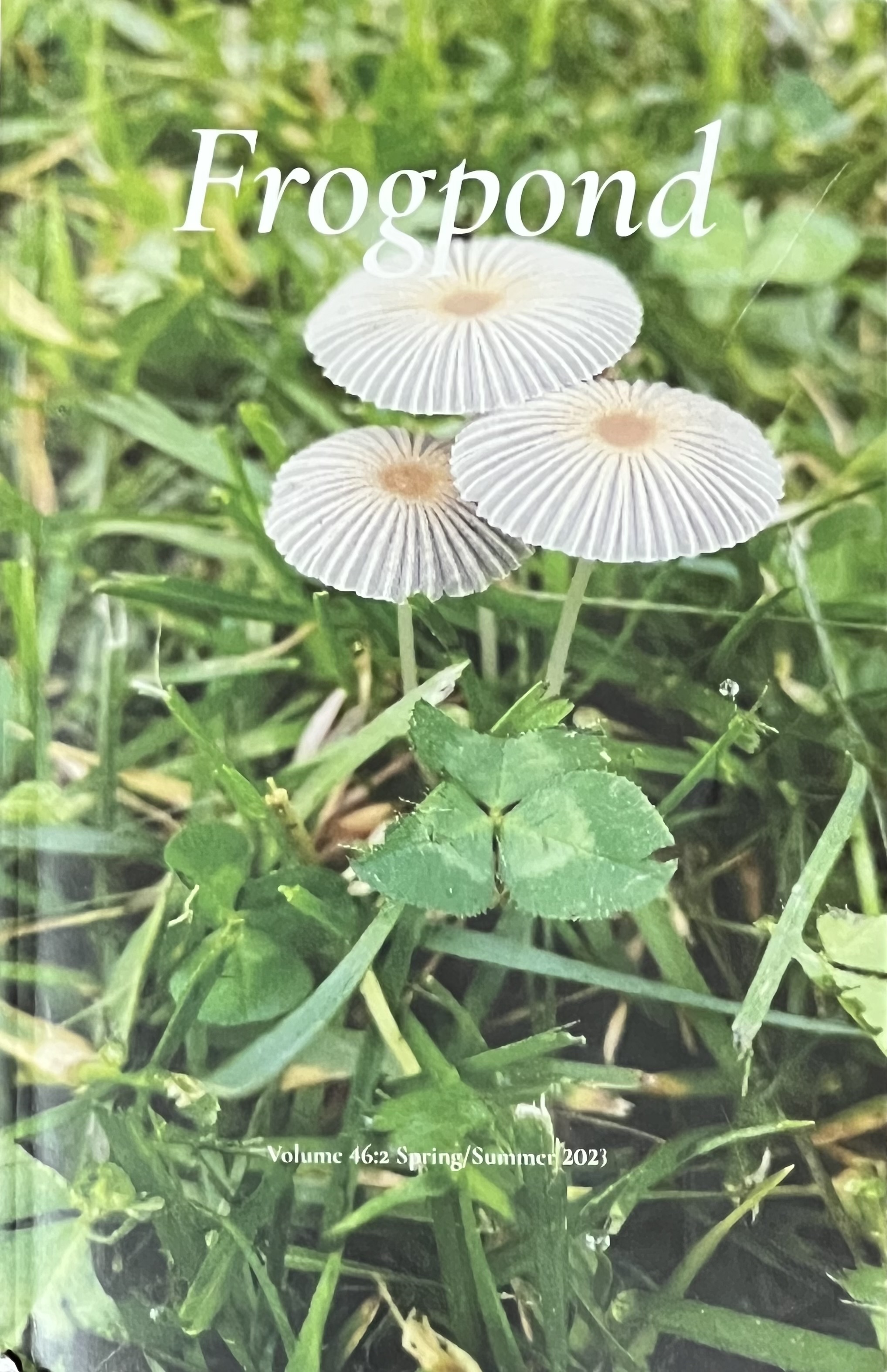 Frog Pond Summer 2023 cover IMG_4878