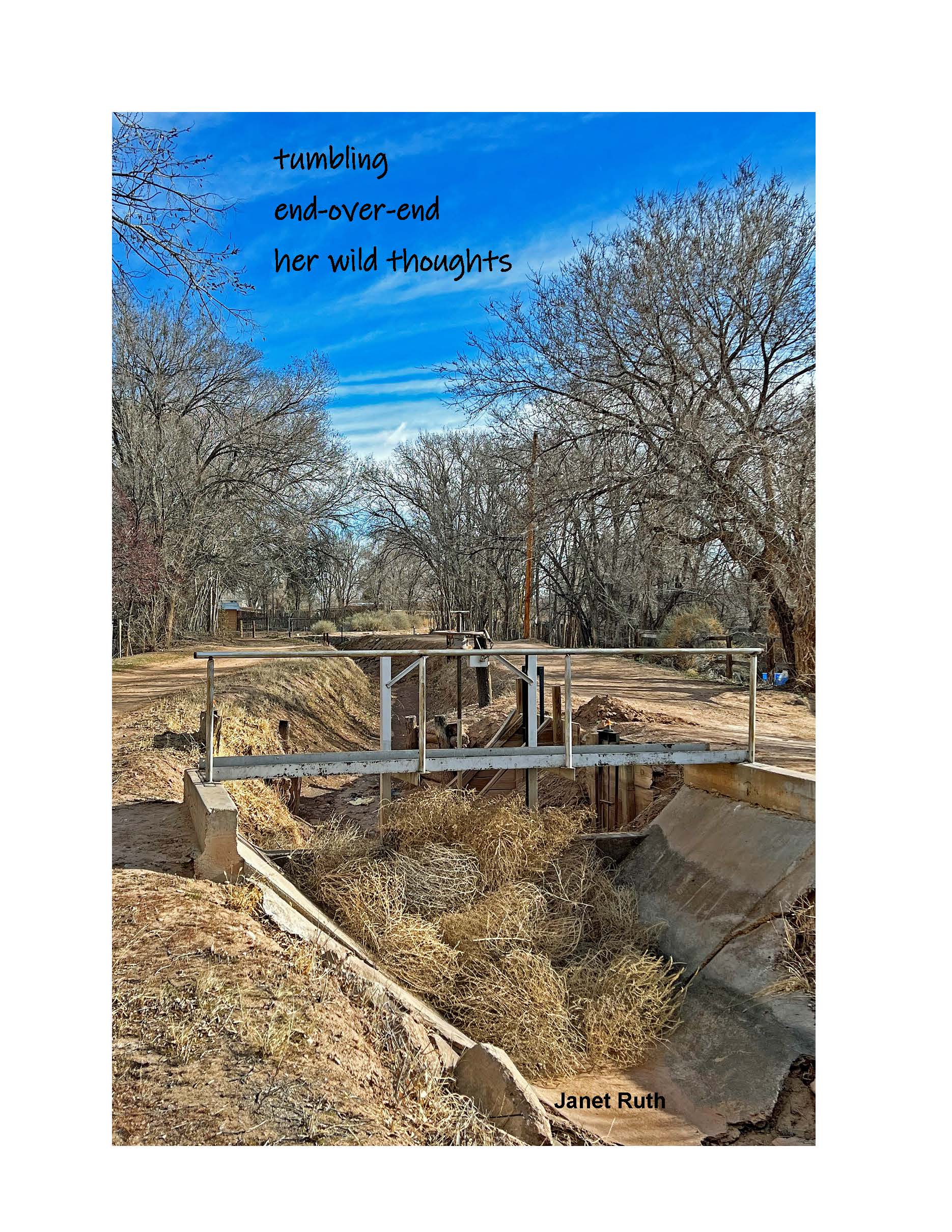 haiga tumbling w haiku